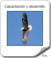 Capacitación y desarrollo