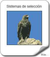 Sistemas de selección