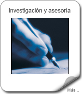 Investigación y asesoría