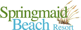 Springmaid logo